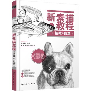 新素描教程(精微+创意) 官方正版 博库网