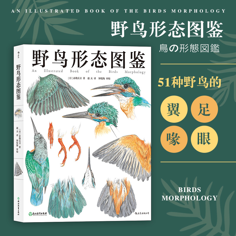 后浪正版 野鸟形态图鉴 精装版 手绘鸟类图鉴野生动物自然观察博物学生物科普书籍 纸上鸟类博物馆