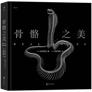 加固包装 后浪正版 骨骼之美 汤泽英治 雅昌雅印印刷技术 12开大幅骨骼艺术黑白摄影作品书籍