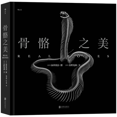 骨骼之美X光线下的动物摄影艺术