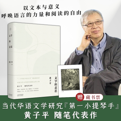 文学的意思  文学史家、文学批评家、曾任北大、人大等高校教授“二十世纪中国文学”概念提出者黄子平官方正版 博库网