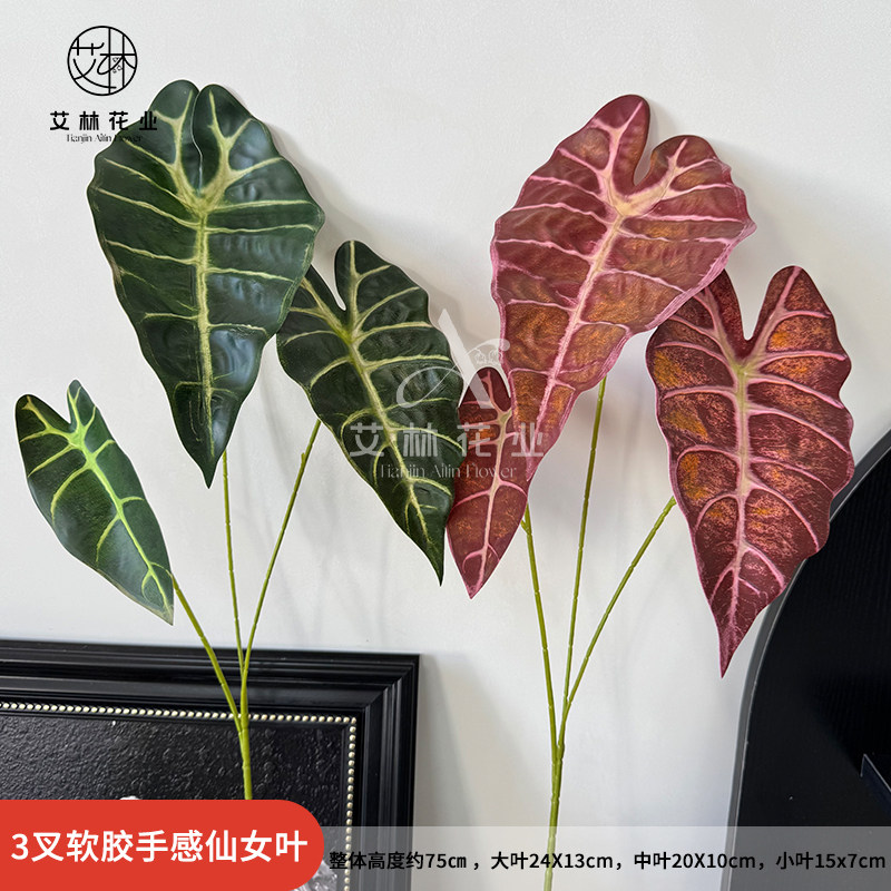 新款仿真3头海芋叶仙女叶图片