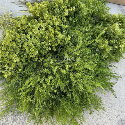 爆款绿植千层金 熊猫竹 圣诞果 竹峰草绿色叶子森系婚礼插花装饰