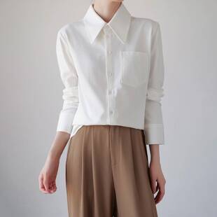 冷淡系特别衬衫2026正流行春秋款弹力纯棉保暖百搭打底衬衣职场通