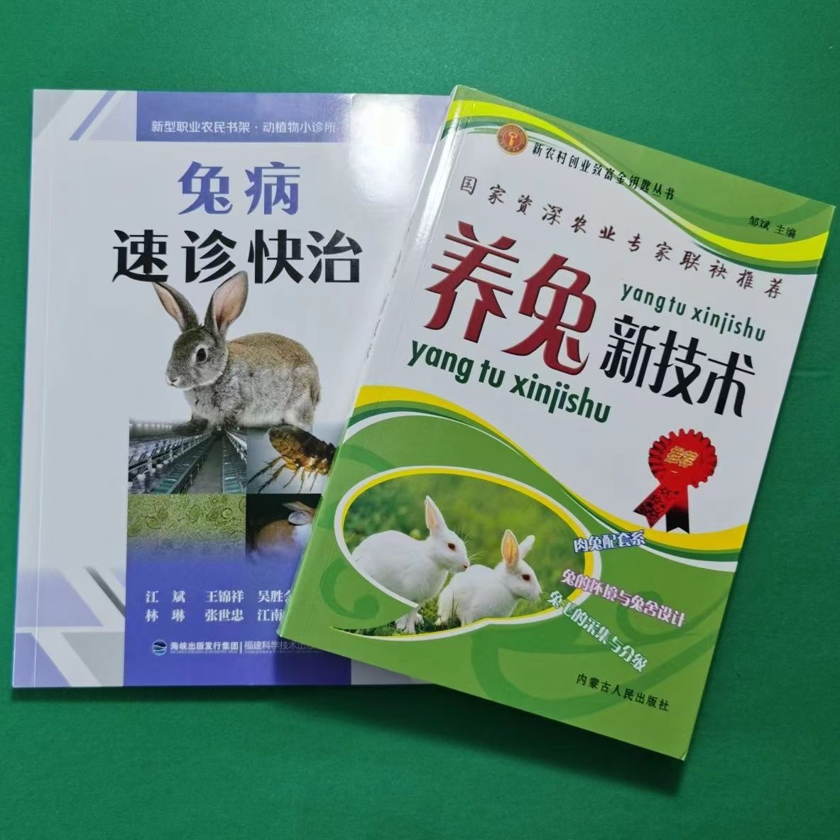 养兔新技术兔病快诊速治兔子养殖技术大全书籍饲料配制家野兔饲养技术兔舍建筑设备指南繁育饲养管理动物营养与饲料学