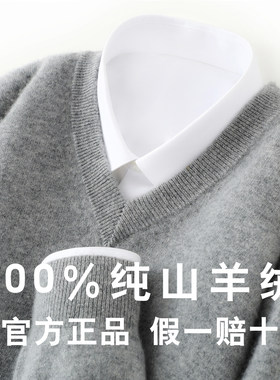 100%纯山羊绒衫男士V领休闲宽松