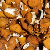 农家纯手工生晒橘皮400克罐装 烧菜泡水