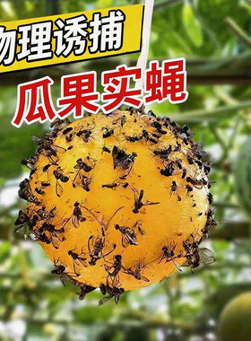 粘虫球诱蝇球瓜果实蝇诱捕器针锋果园果树黄球果蝇球柑橘大实蝇球