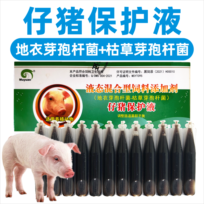 兽用仔猪保护液小猪调整肠道菌群