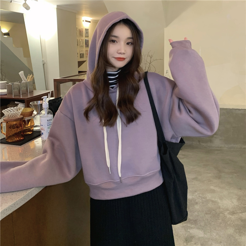 紫色杏色小个子慵懒风短款加绒连帽长袖卫衣秋冬宽松套头上衣女