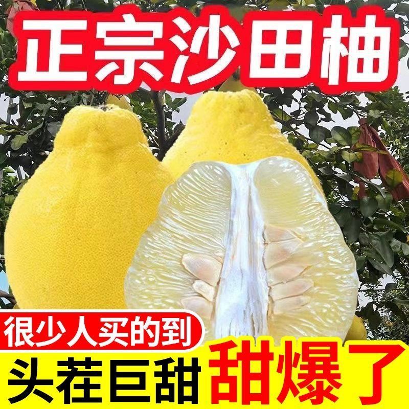 【纯甜无酸】正宗梅州沙田柚新鲜柚子沙田柚白心柚水果梅县金柚子