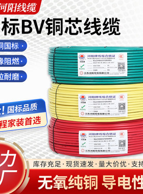 国标铜芯BV电线源头厂家欢迎咨询
