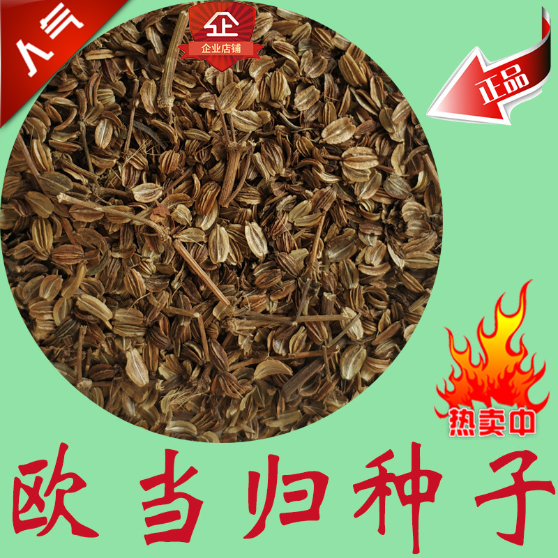 欧当归种子 当归种子 中药材种子 多年生 当归籽 种子饱满 当归苗