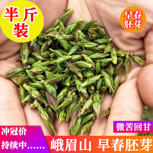 明前新茶姑娘茶 四川峨眉山茶叶特级嫩芽小叶苦丁茶青山绿水茶散装