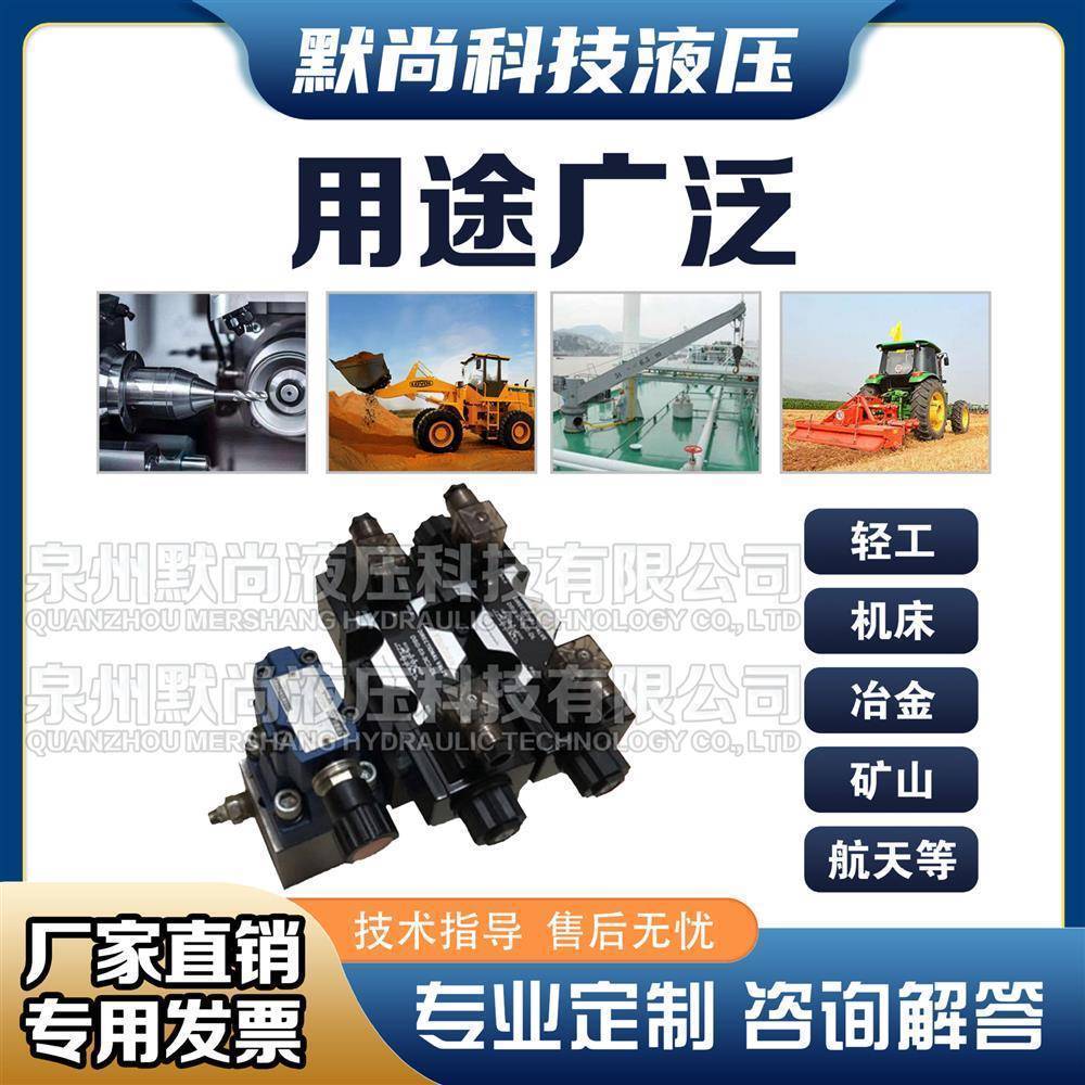 液压泵总成小型液压阀组液压站液压升降机千斤顶电动微型系统阀组
