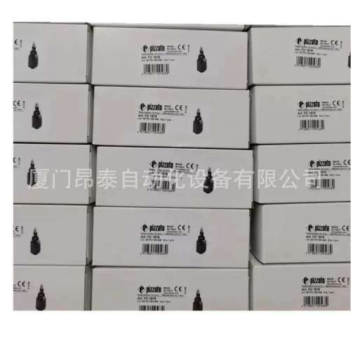 CS FS-20VU24-TF6 意大利皮扎特 极限开关