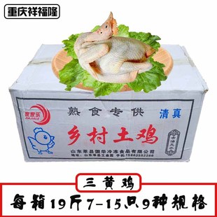 冷冻童子鸡整箱三黄鸡冰冻去爪新鲜叫花鸡奥尔良烤商用手扒鸡生鸡