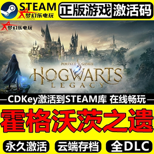 霍格沃茨之遗正版Steam激活码CDKey入库Hogwarts Legacy全DLC游戏
