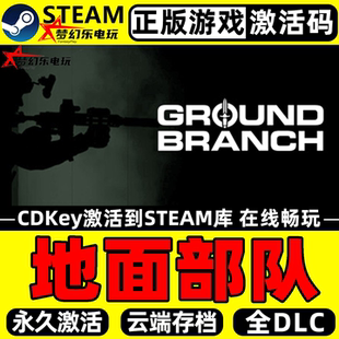 地面部队 正版Steam激活码CDKey入库 GROUND BRANCH全DLC动作游戏