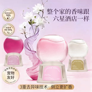 倒置香氛卧室内家用车载衣柜除异味空气清晰扩香香薰厕所晴天大白