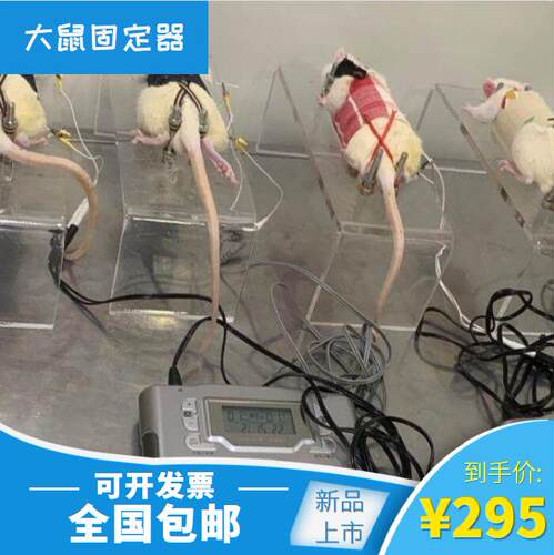 大鼠固定器实验透明便捷