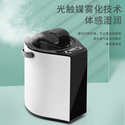 蒸汽机熏蒸机阿迪科特新款家用