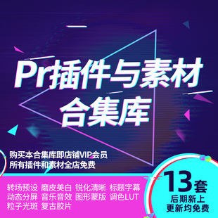 Pr插件与素材合集库转场音乐音效调色lut标题字幕分屏磨皮锐化