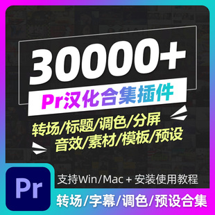 Pr视频剪辑模板预设中文插件转场分屏标题字幕调色音效背景素材