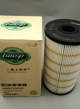 1012010-E9500五万公里长寿命天龙龙擎DDi国六机油滤清器纸滤芯格
