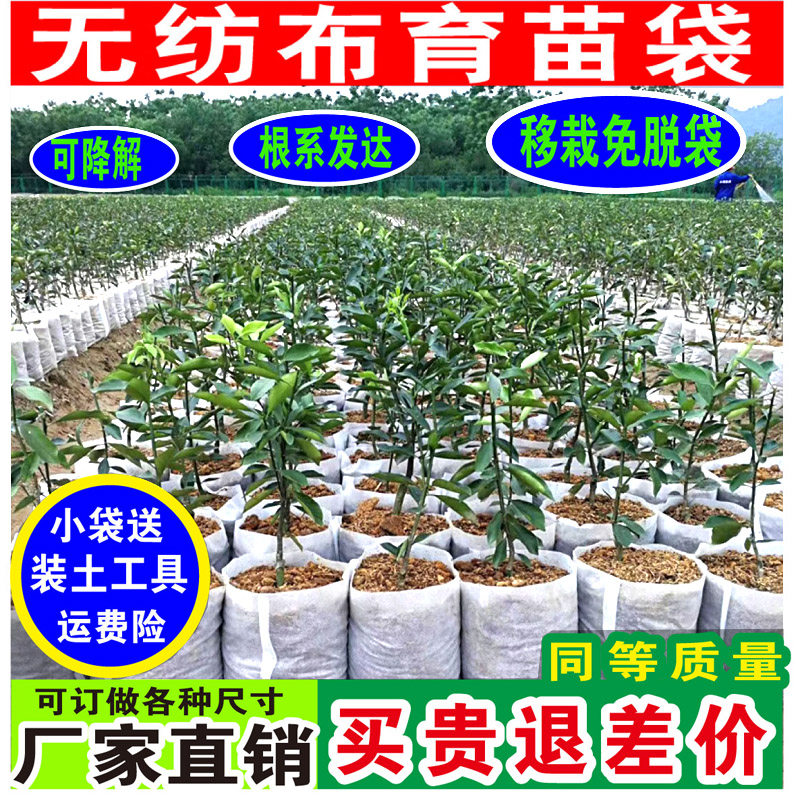 移栽免脱袋无纺布营养袋花盆百香果坚果核桃柑橘果树育苗袋营养杯
