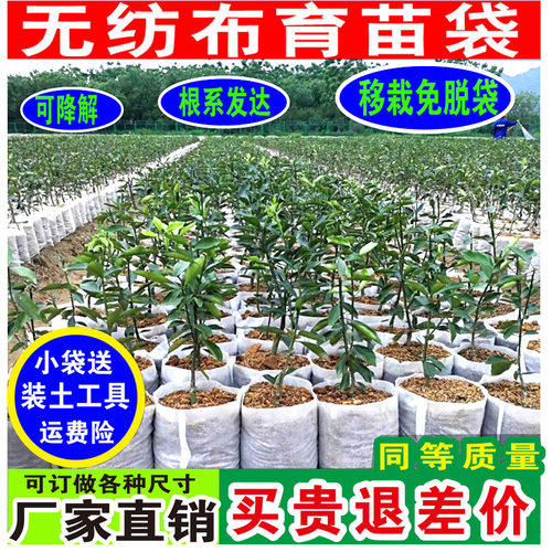 移栽免脱袋无纺布营养袋花盆百香果坚果核桃柑橘果树育苗袋营养杯 - 封面