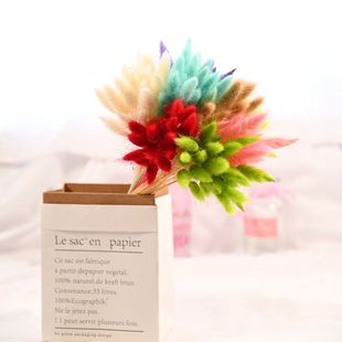 拍图道具拍照道具20头兔尾草干花拍摄背景摆件田园风森女装 饰材料