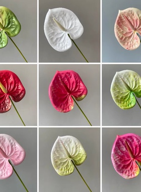 仿真3D打印手感软胶pu红掌白掌绿掌粉掌观音莲火鹤拍照摄影婚庆花