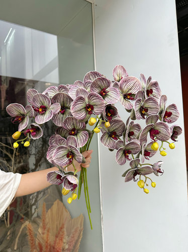 手感条纹蝴蝶兰 假花客厅餐桌装饰摆件插花婚庆路引软装布置