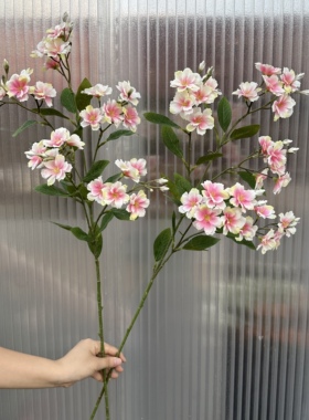 蓝星花仿真花客厅餐桌假花家居摆件装饰塑料绢花插花摆设干花花束