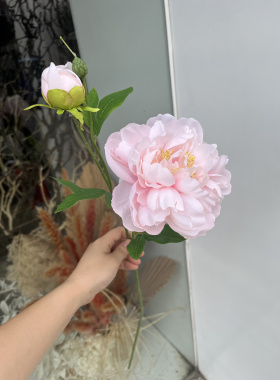 高品质好质感仿真芍药花2头长枝牡丹白色玫红色客厅装饰还原真花