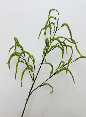 新款仿真绿植龙须草芦荀草花艺师森系婚礼花艺布置橱窗造景枫杨柳
