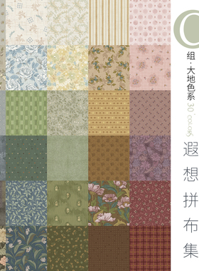 【30支平纹棉】柯布 遐想拼布集·C组·大地色系 DIY手工拼布包包