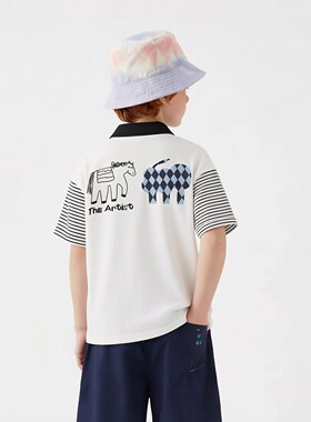 马其顿撞色袖POLO衫短袖后背印花