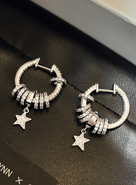 纯银色独特好看耳环女款2026新款爆款耳钉耳圈耳饰高级感圈圈耳扣