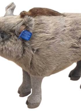 （10只代购）SEMO仿真超大号乌苏里野猪wild boar毛绒玩具公仔