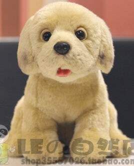 （定做）仿真拉布拉多犬狗狗labrador retriever毛绒玩具公仔