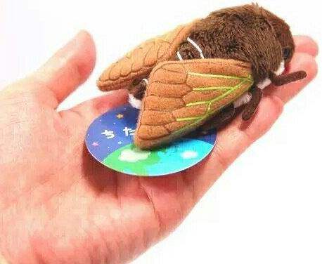 （代购）日本tst advance仿真知了蝉cicada毛绒玩具公仔