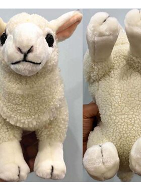 （定做）仿真夏洛莱羊charollais毛绒玩具stuffed plush toy