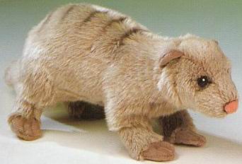 （代购）美国sos仿真笔尾獴yellow mongoose毛绒玩具公仔