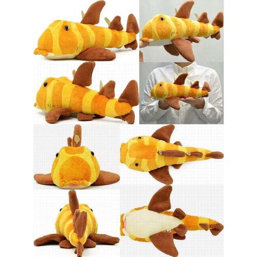（代购）仿真虎鲨bullhead shark毛绒玩具公仔stuffed plush toy