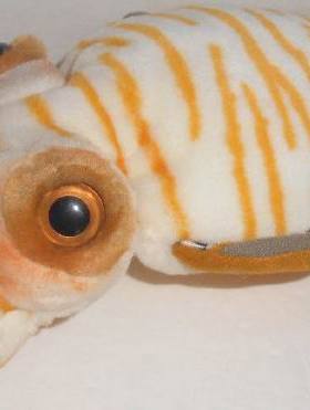 （定做）仿真虎斑乌贼鱿鱼cuttlefish毛绒玩具公仔