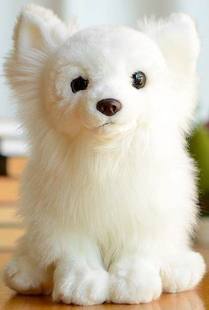 定做 仿真白色博美犬狗狗pomeranian毛绒玩具公仔