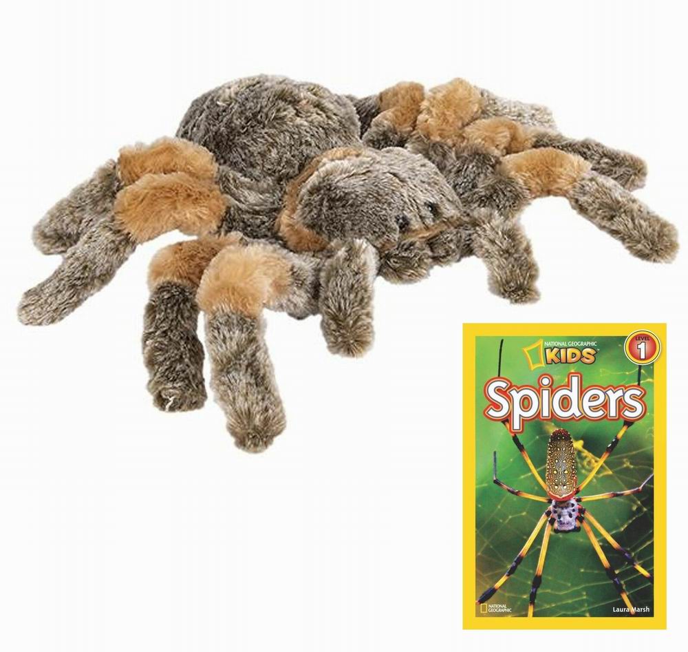 （代购）仿真塔兰图拉毒蜘蛛狼蛛tarantula spider毛绒玩具公仔