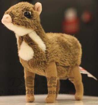 （代购）仿真菲律宾鼠鹿philippine mouse deer毛绒玩具公仔